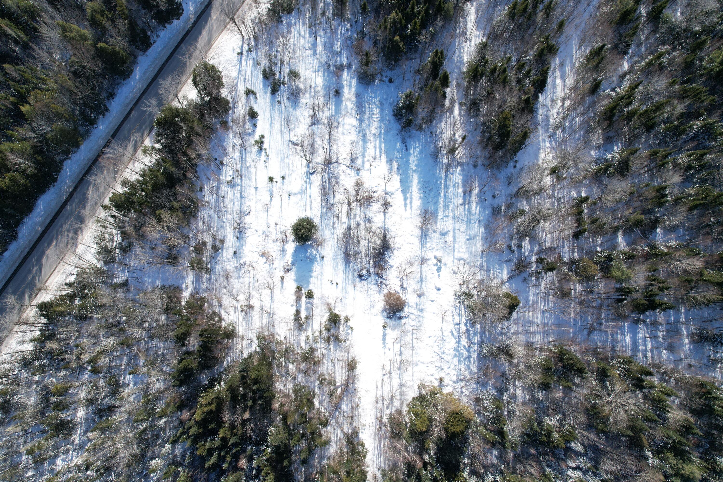 Map5-lot14 Howland Road Lagrange, ME 04453 - Photo 1 of 12 DJI_0230