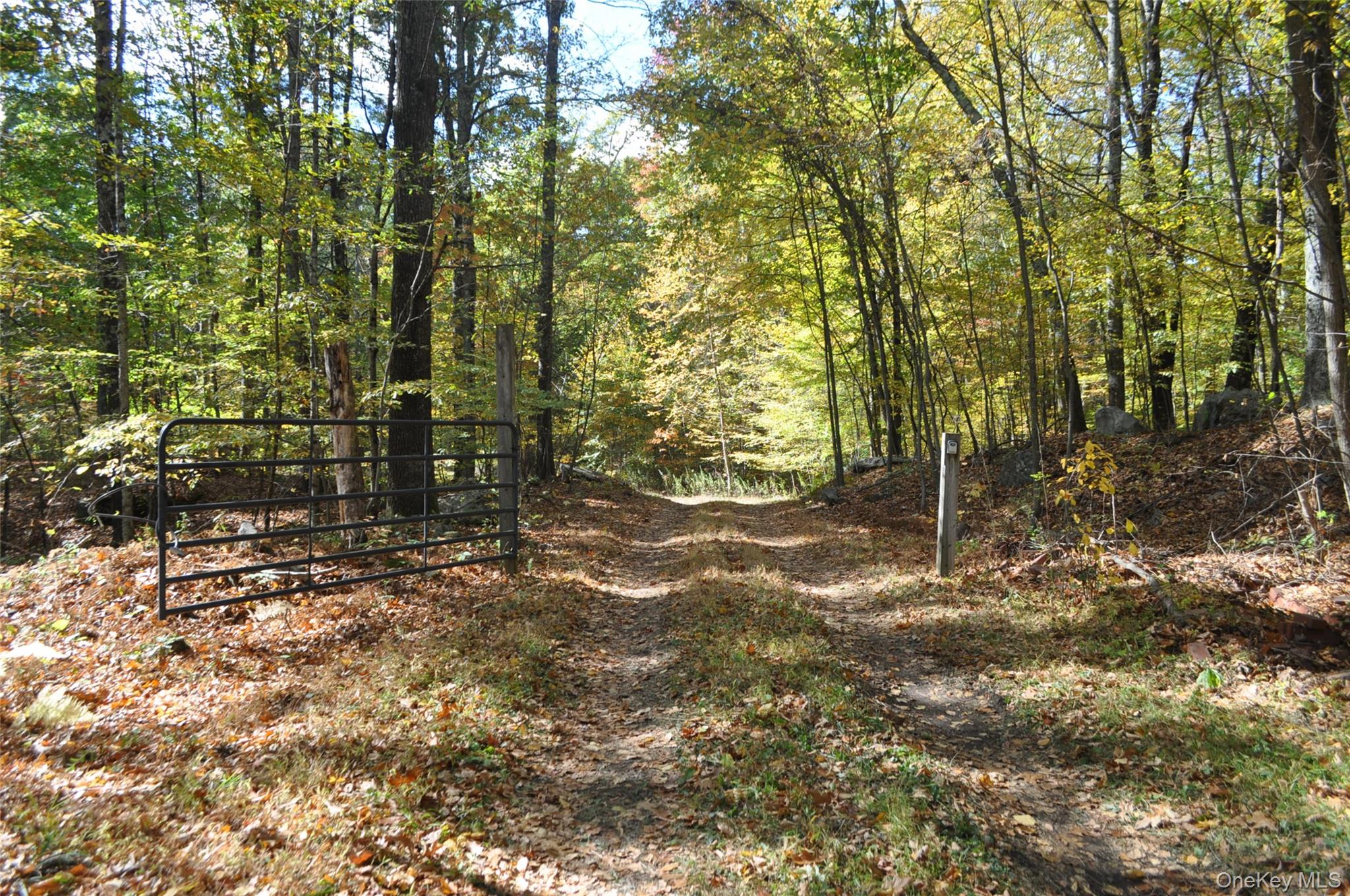 243 Hawleys Corners Road Highland, NY 12528 - Photo 41 of 44 a view of forest