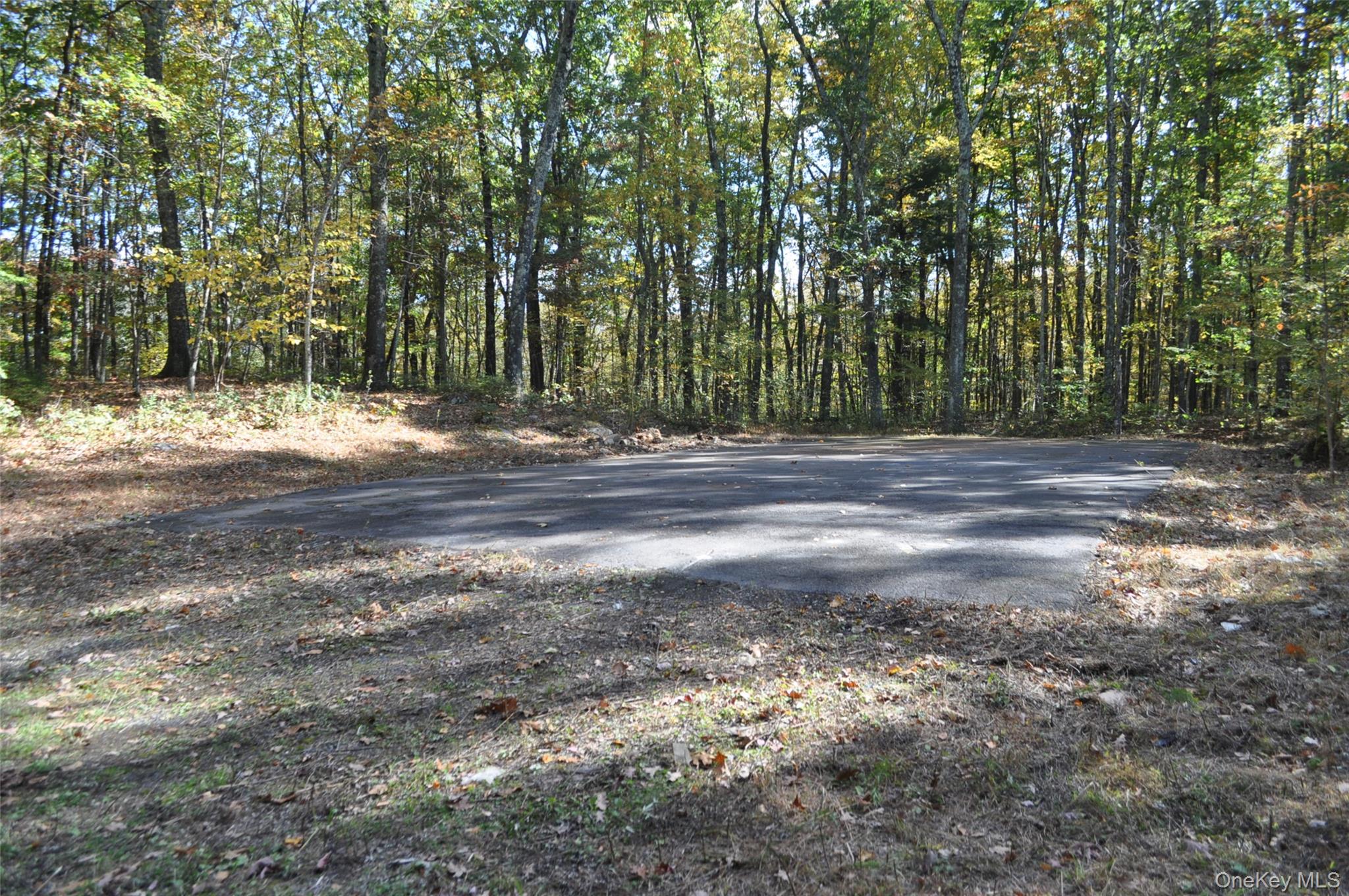 243 Hawleys Corners Road Highland, NY 12528 - Photo 42 of 44 a view of a yard with a trees