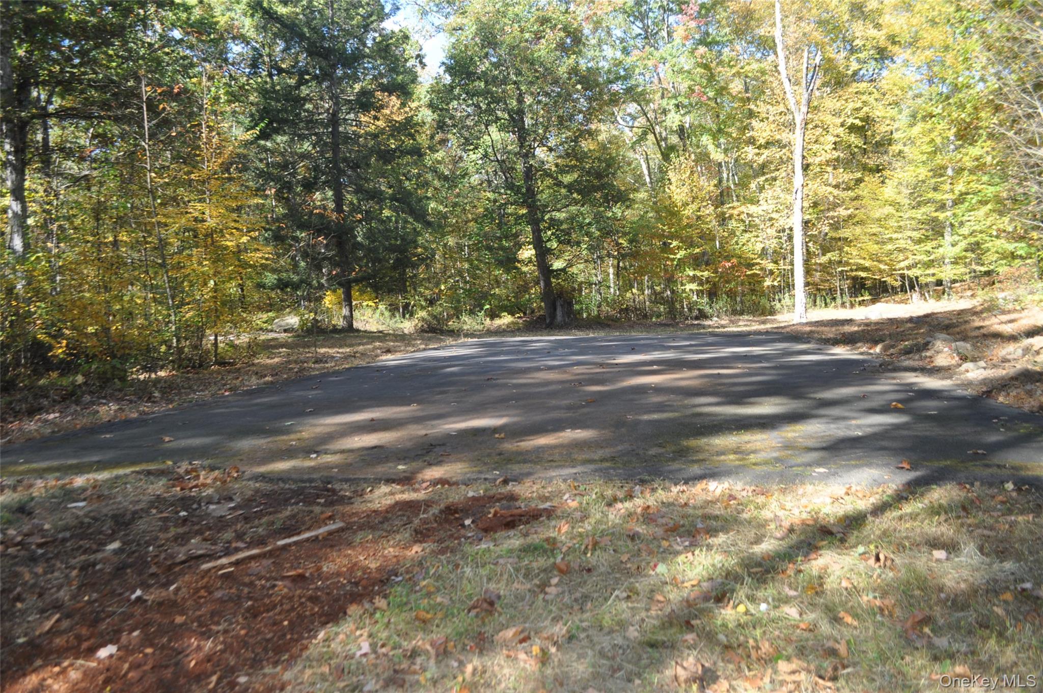 243 Hawleys Corners Road Highland, NY 12528 - Photo 43 of 44 a view of a yard with a trees