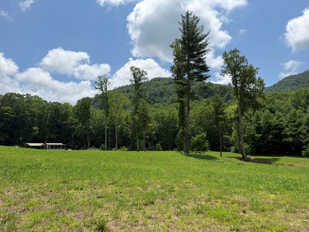 1446 Muskrat Creek Road Hayesville, NC 28904 - Photo 101 of 108