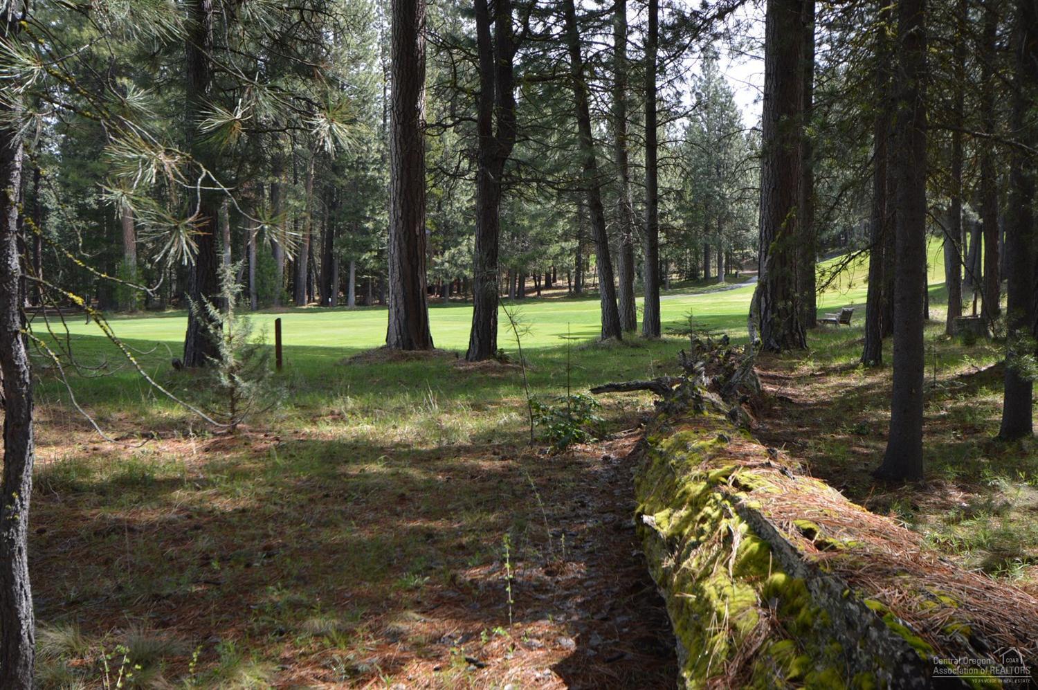 13248 Hawks Beard Black Butte Ranch, OR 97759 - Photo 6 of 25 Additional Photo