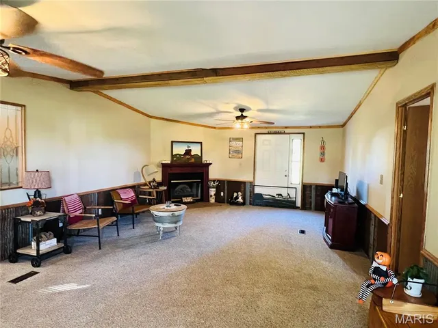 $219,000 | 12373 Bcr 634, Sturdivant, MO 63782