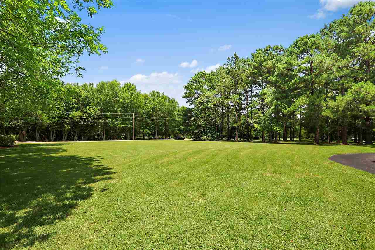 174 Sundial Road Madison, MS 39110 - Photo 6 of 12 Photo 6