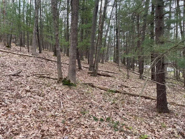 $79,900 | Parcel A Coates Highway, Brethren, MI 49619