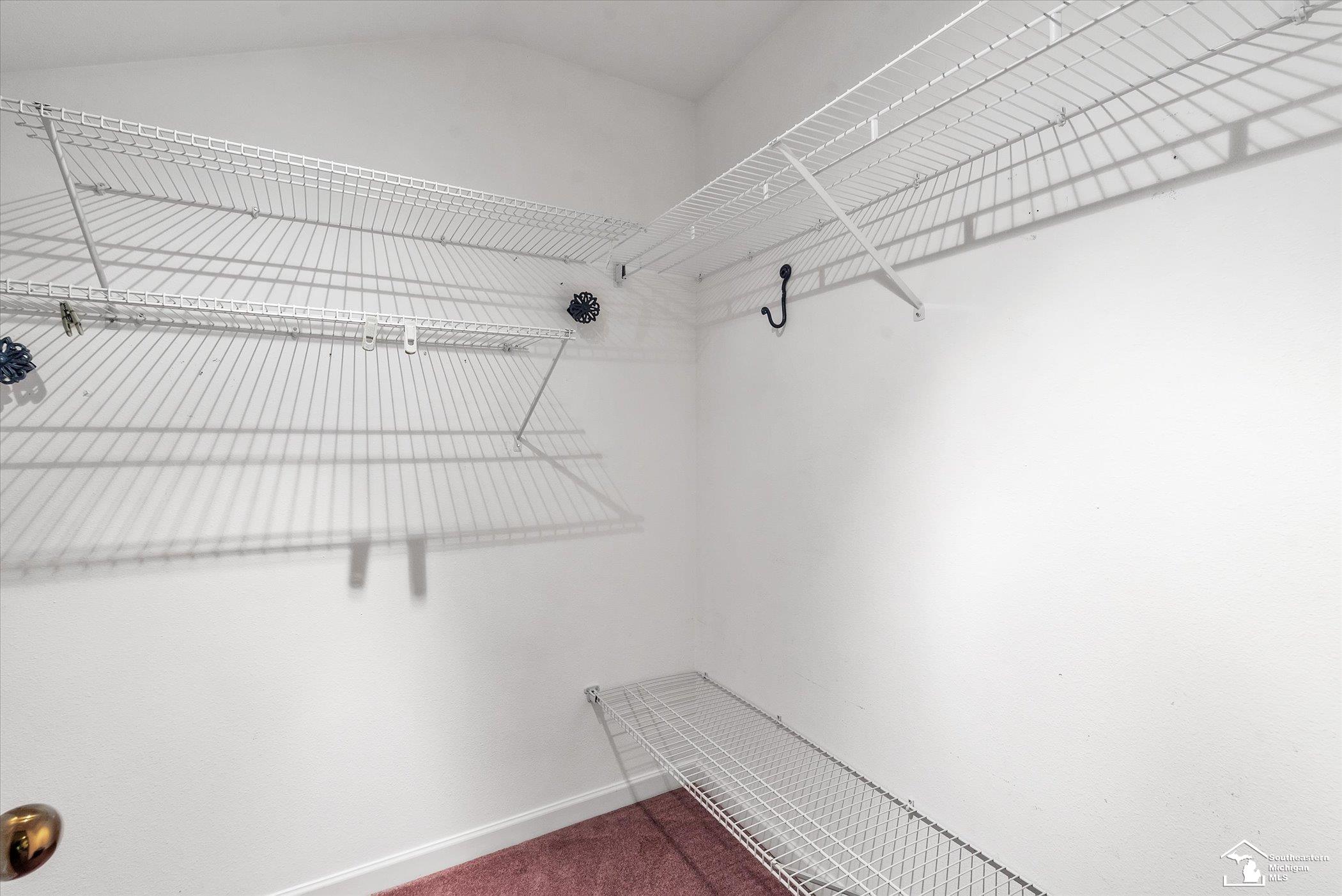 7535 Summerfield Road Petersburg, MI 49270 - Photo 43 of 84 Walk In Closet