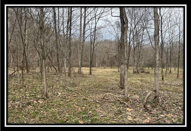 35471 Buck Run Road Langsville, OH 45741 - Photo 27 of 32
