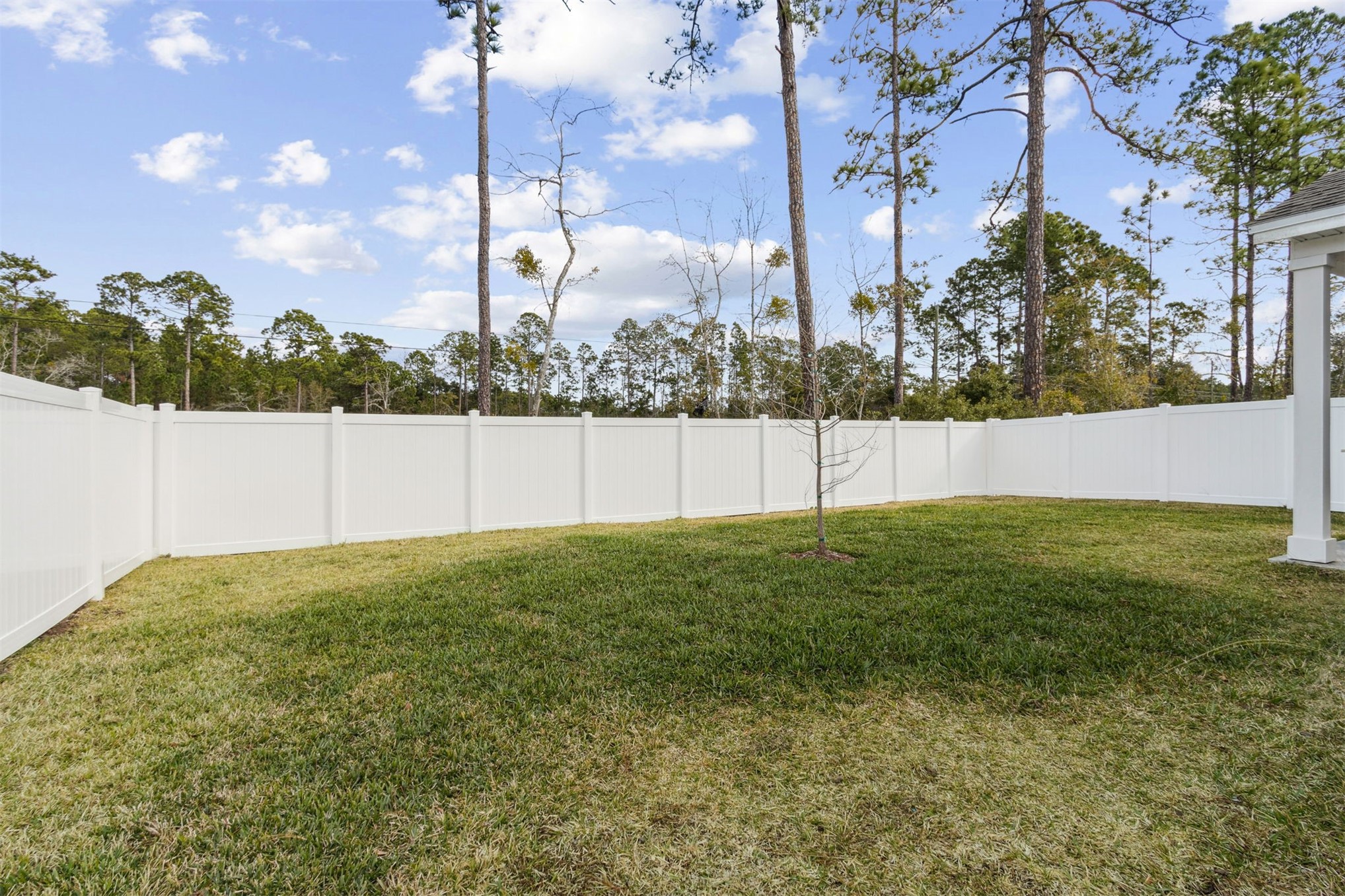 96277 Broadmoore Road Fernandina Beach, FL 32034 - Photo 23 of 26 a view of outdoor space and yard