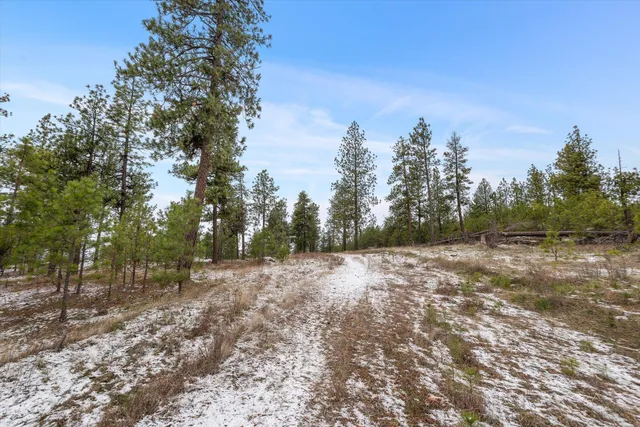 $795,000 | 25323 East Colony Street, Liberty Lake, WA 99019