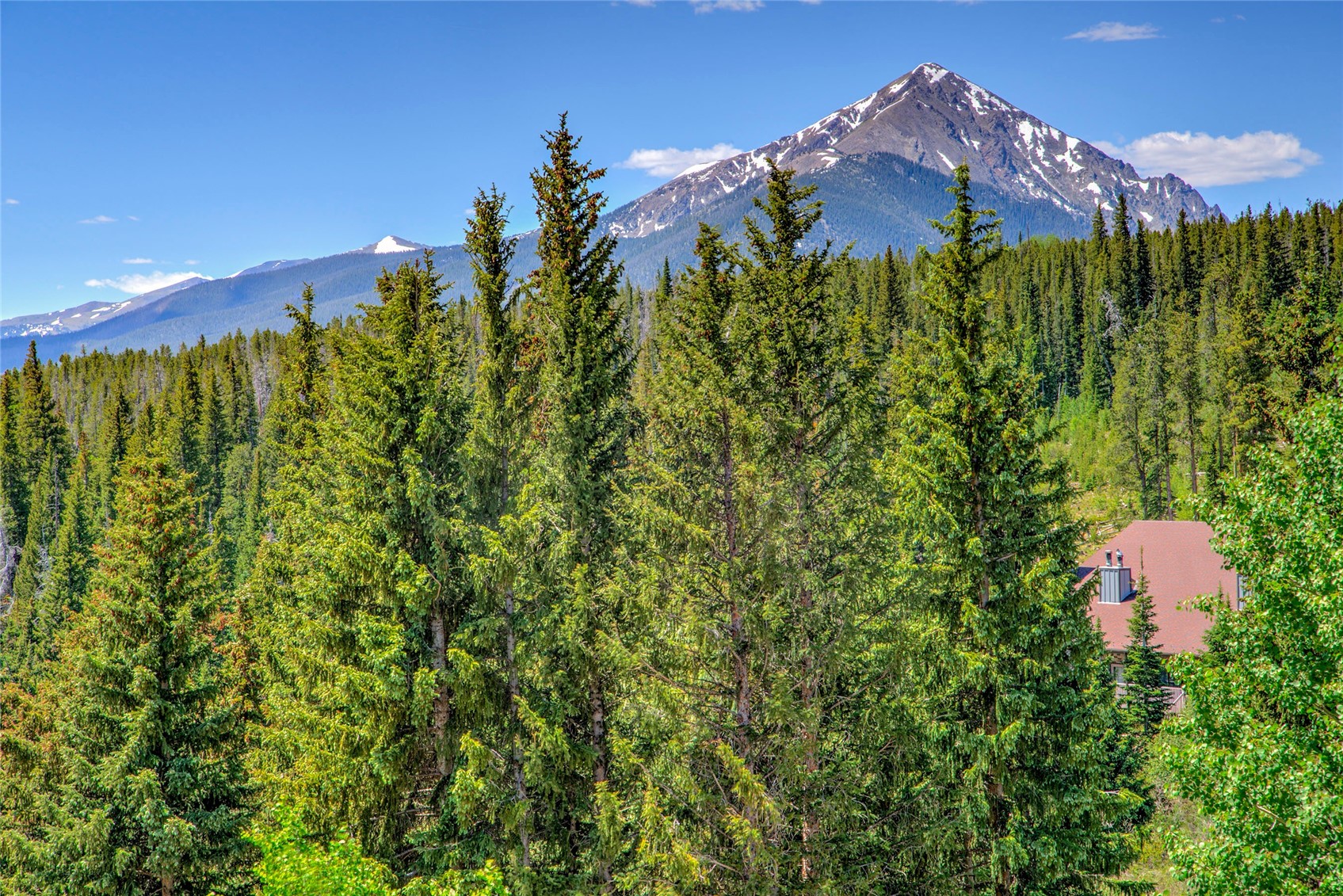 9800 Ryan Gulch Road, Unit A101 Silverthorne, CO 80498 - Photo 4 of 24