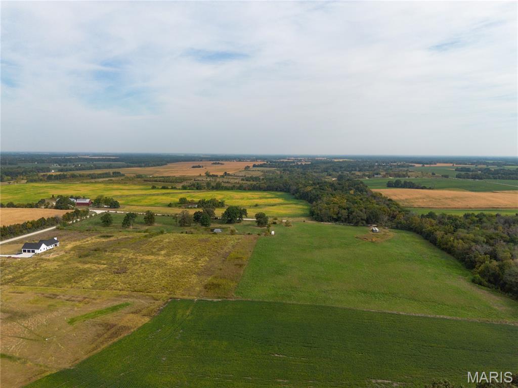 422 Hickory Wood Road Jonesburg, MO 63351 - Photo 8 of 23