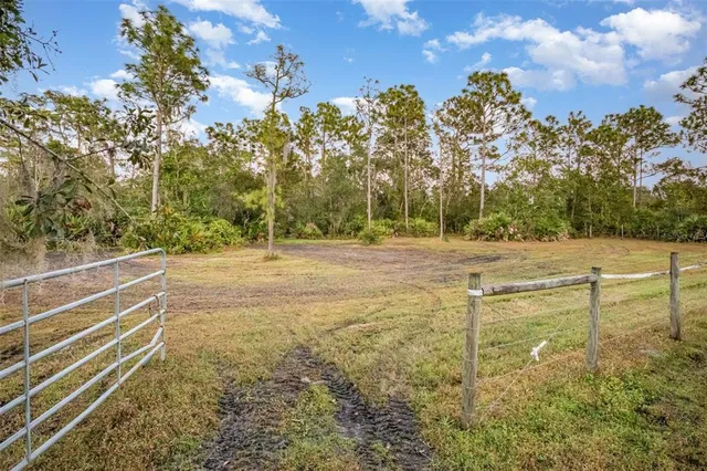 a view of a field with trees in the background