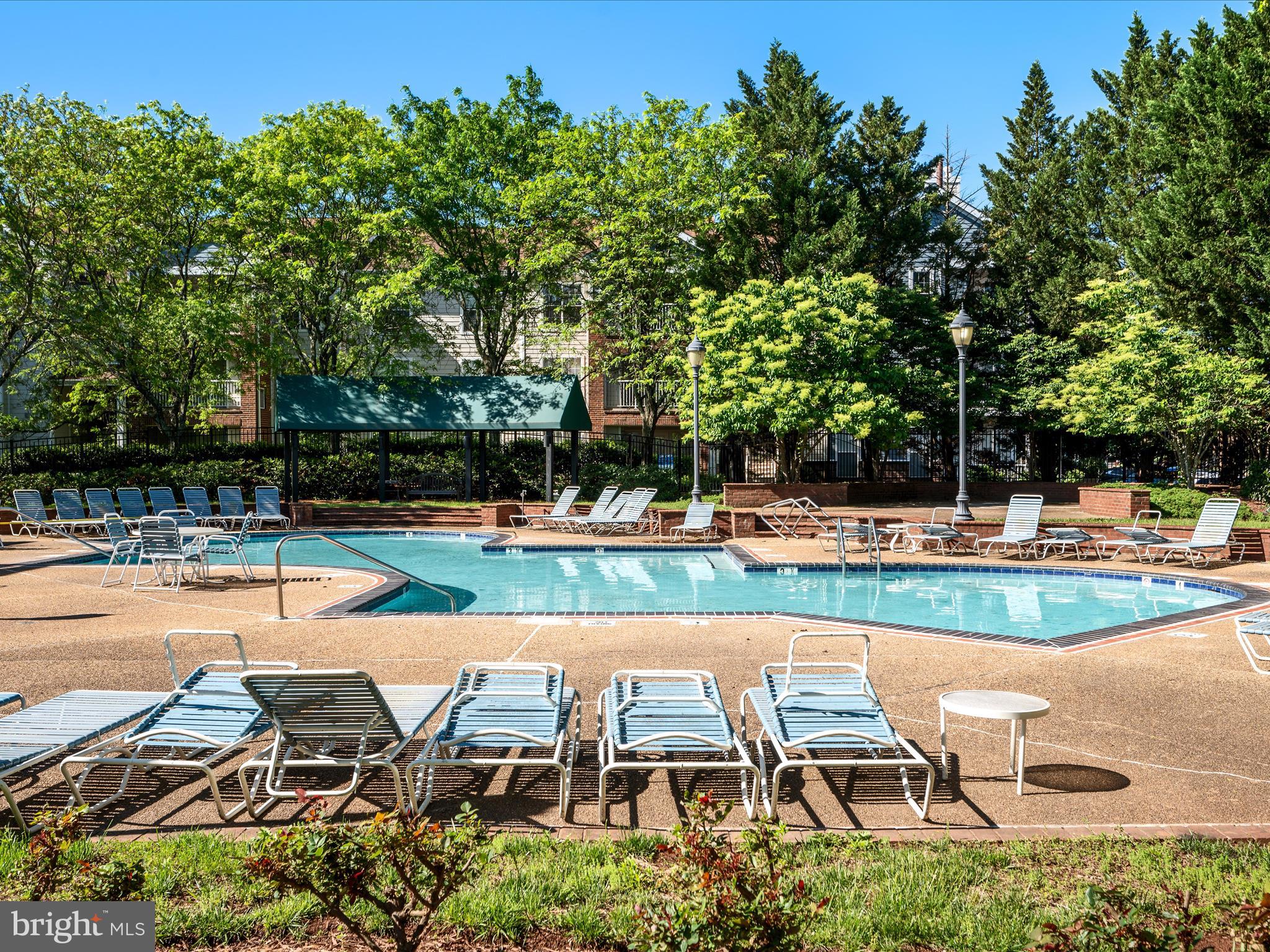 21019 Timber Ridge Terrace, Unit 102 Ashburn, VA 20147 - Photo 30 of 39 Great place to hang out and get some sun