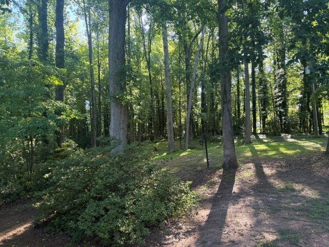 106 Cherokee Circle Anderson, SC 29621 - Photo 44 of 45 Mature trees and undergrowth create a verdant, private setting with dappled sunlight on the ground.