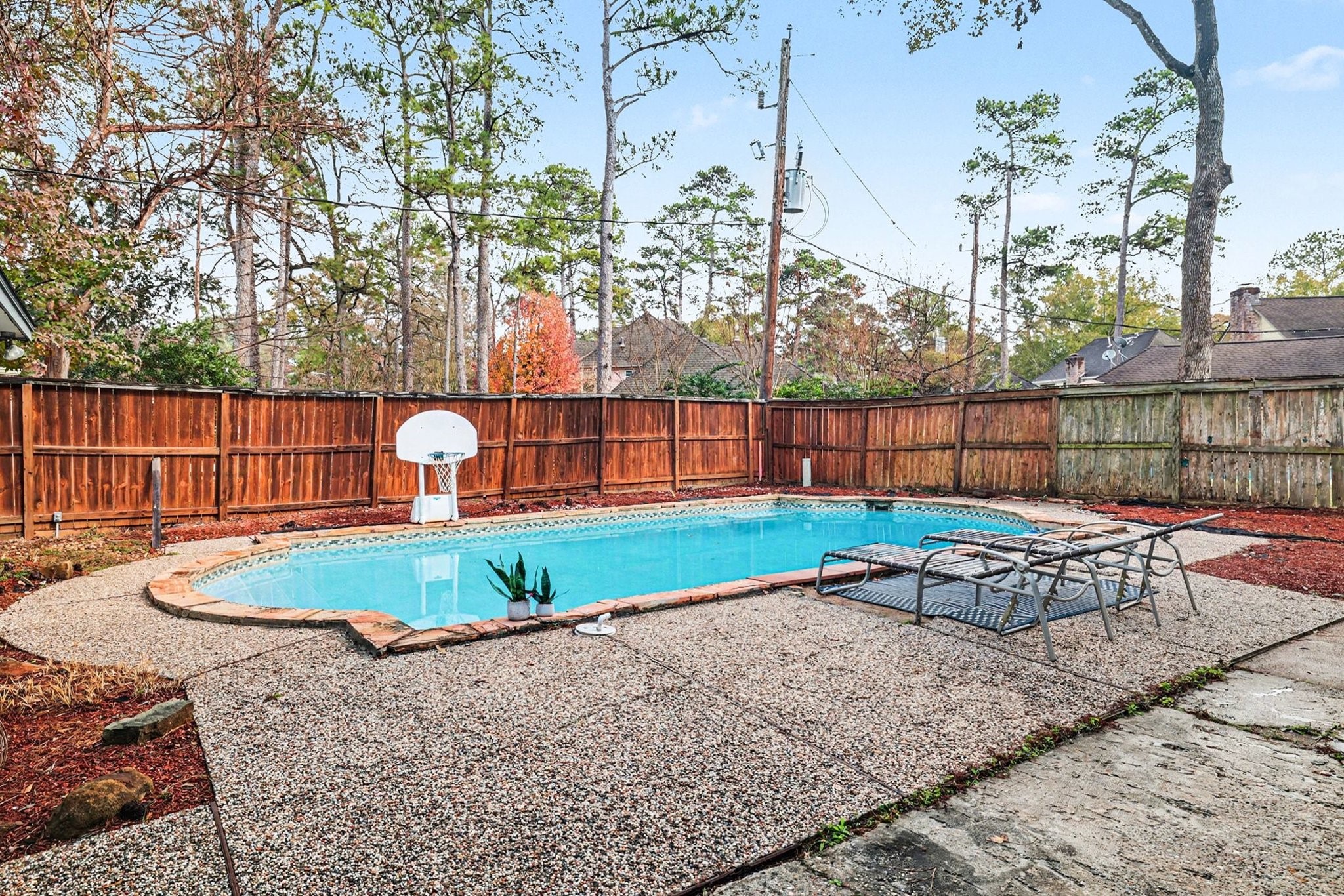 9530 Arcade Drive Spring, TX 77379 - Photo 34 of 37 Full view of this private backyard pool.