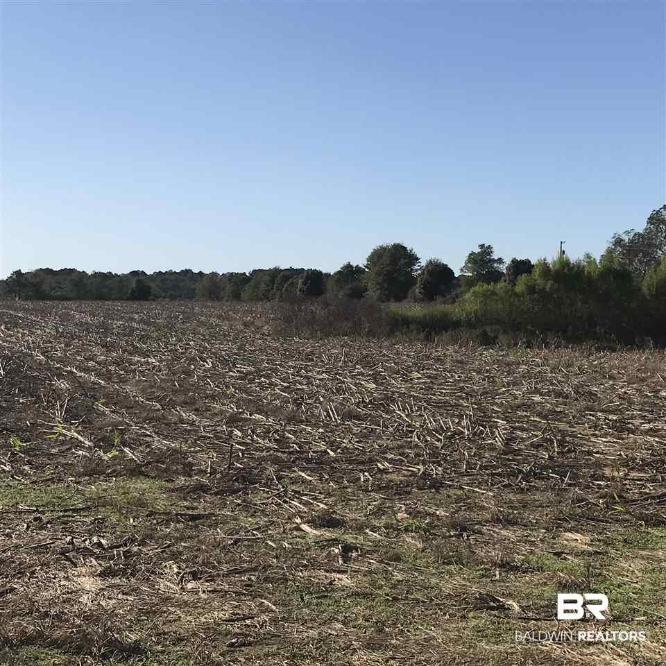 Langforoad Road Fairhope, AL 36532 - Photo 3 of 9