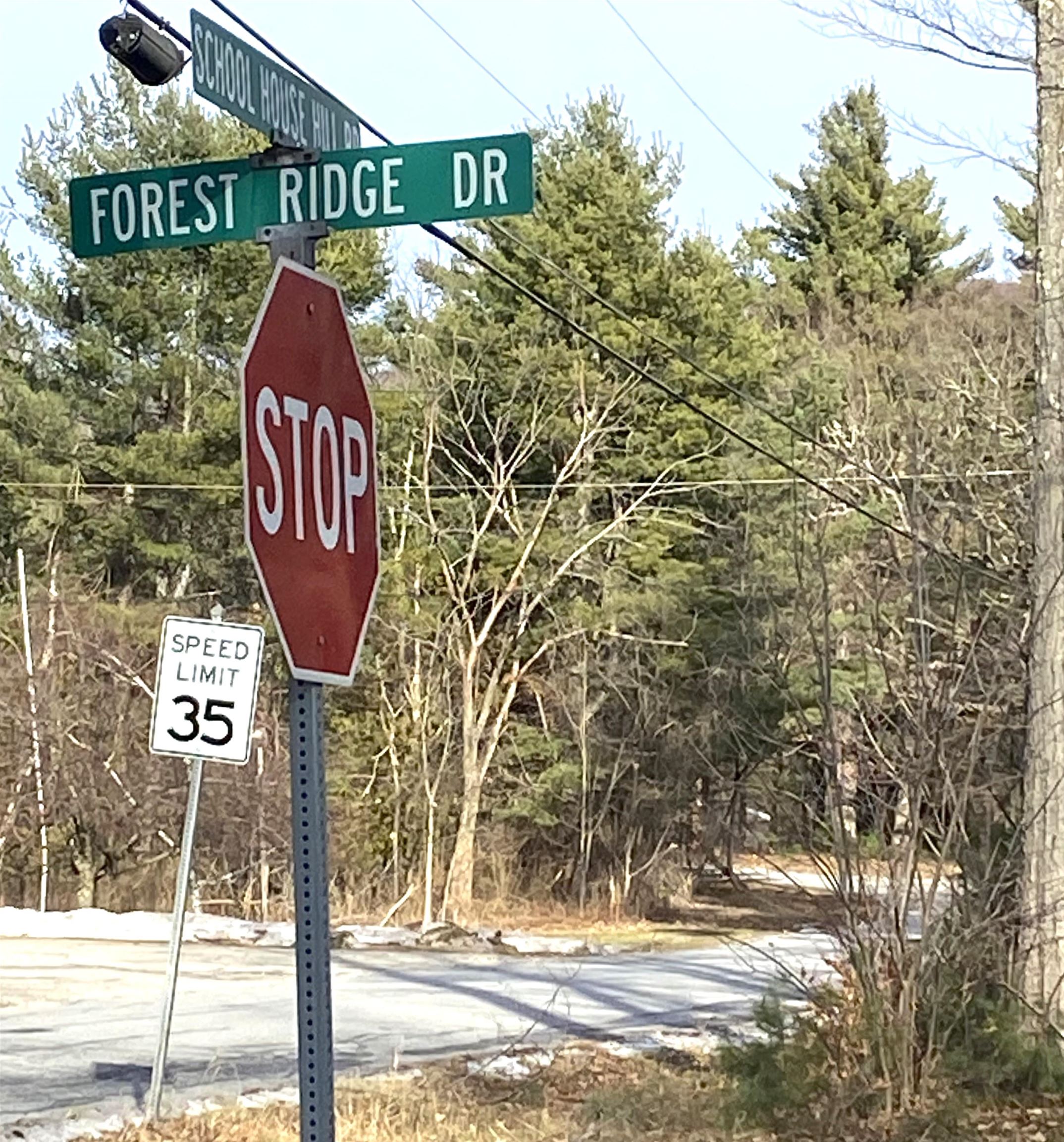20 Forest Ridge Drive, Unit 14 Middlebury, VT 05753 - Photo 7 of 9