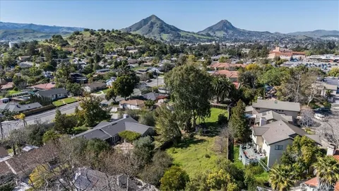 an aerial view of residential houses with outdoor space and trees