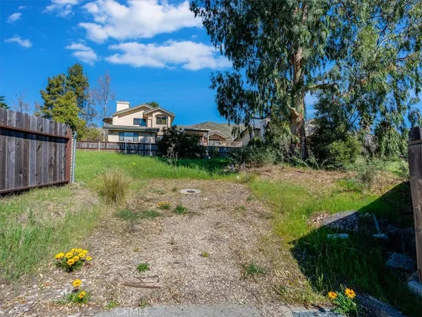 a view of a backyard with garden
