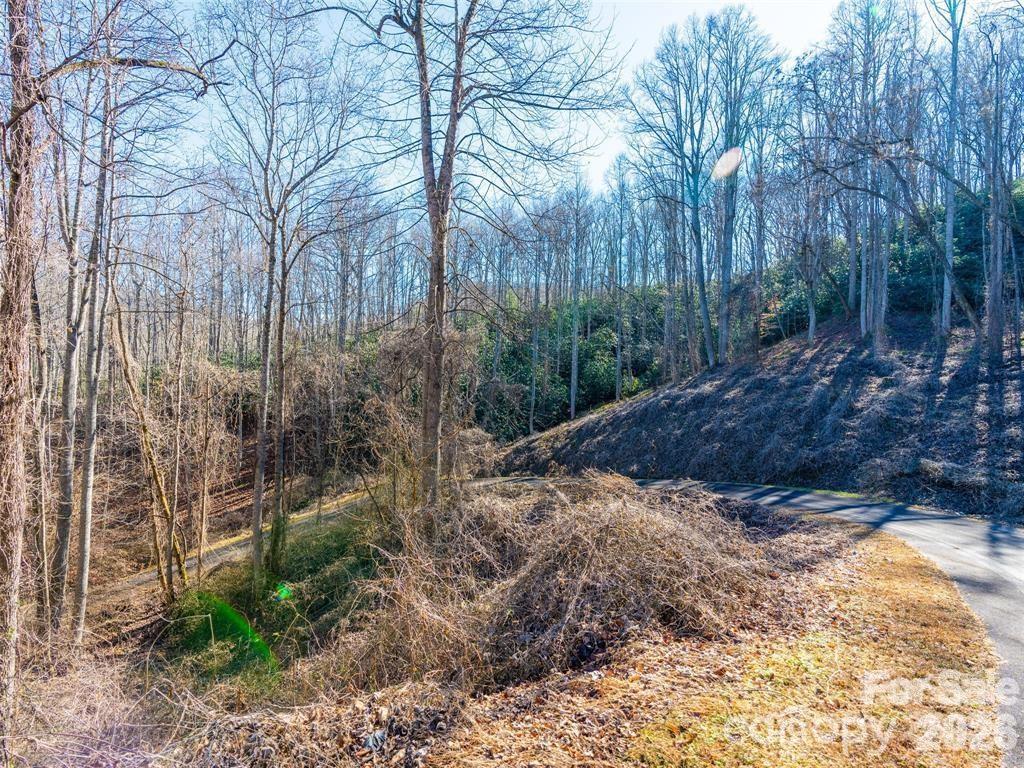 19-20 Riva Ridge Drive, Unit 26/34 Fairview, NC 28730 - Photo 7 of 15