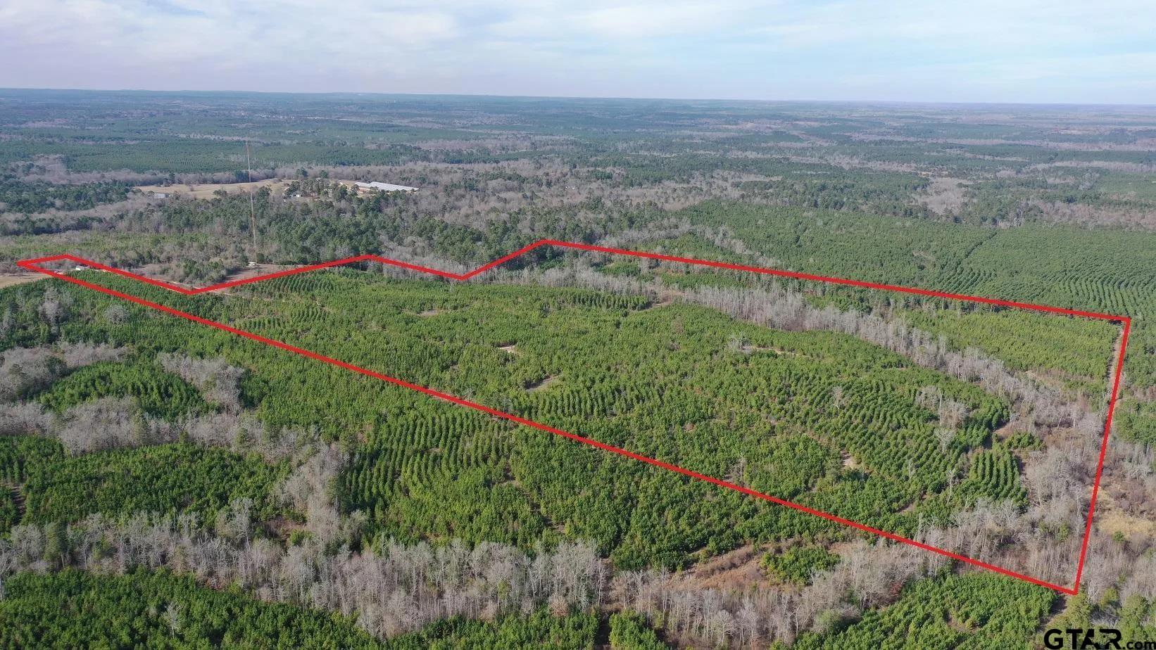 a view of a lush green field