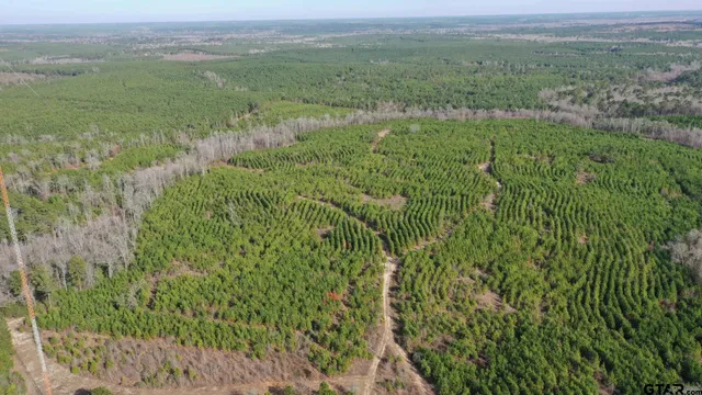 a view of a lush green outdoor space with a lake view