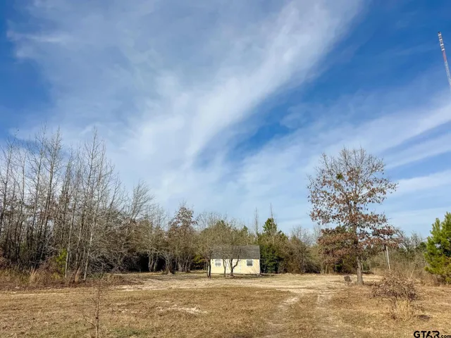 a view of a town with trees