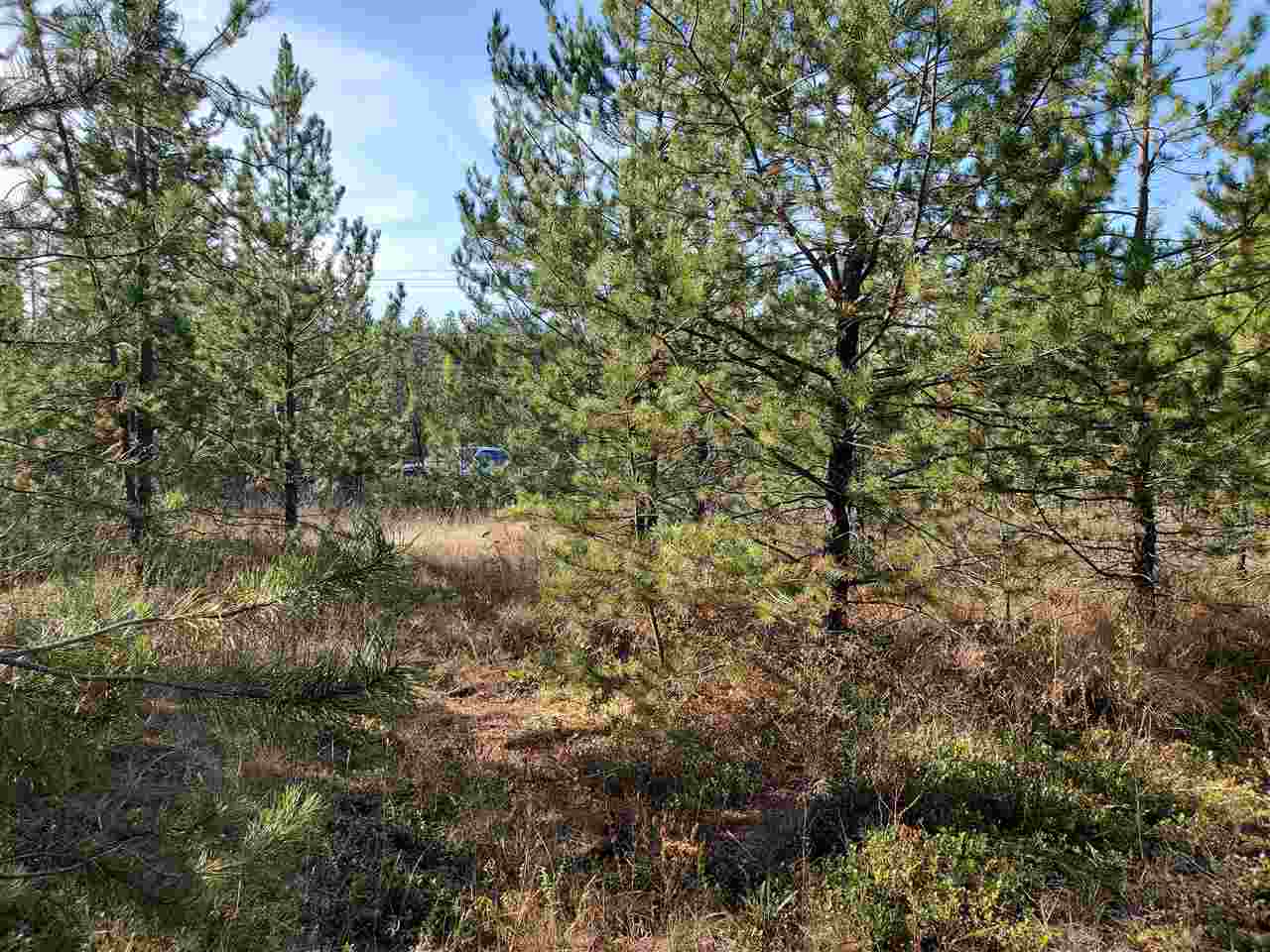 Nkn Telephone Road East Newport, WA 99156 - Photo 2 of 28