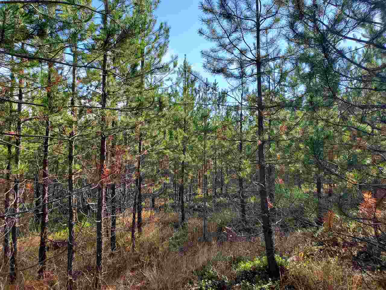 Nkn Telephone Road East Newport, WA 99156 - Photo 11 of 28