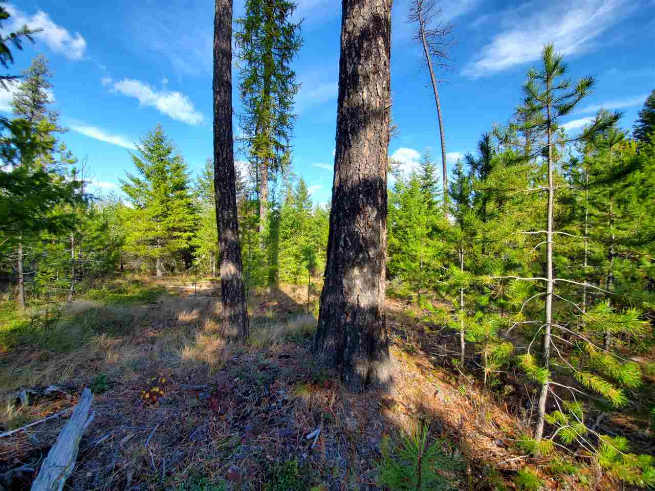 Nkn Telephone Road East Newport, WA 99156 - Photo 12 of 28