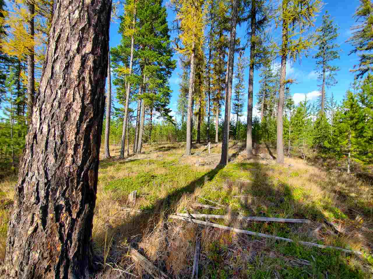 Nkn Telephone Road East Newport, WA 99156 - Photo 16 of 28