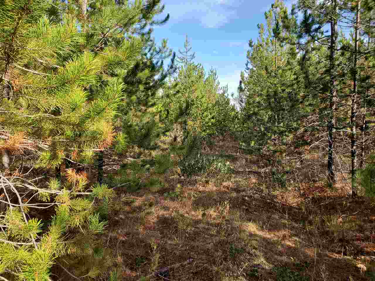 Nkn Telephone Road East Newport, WA 99156 - Photo 3 of 28
