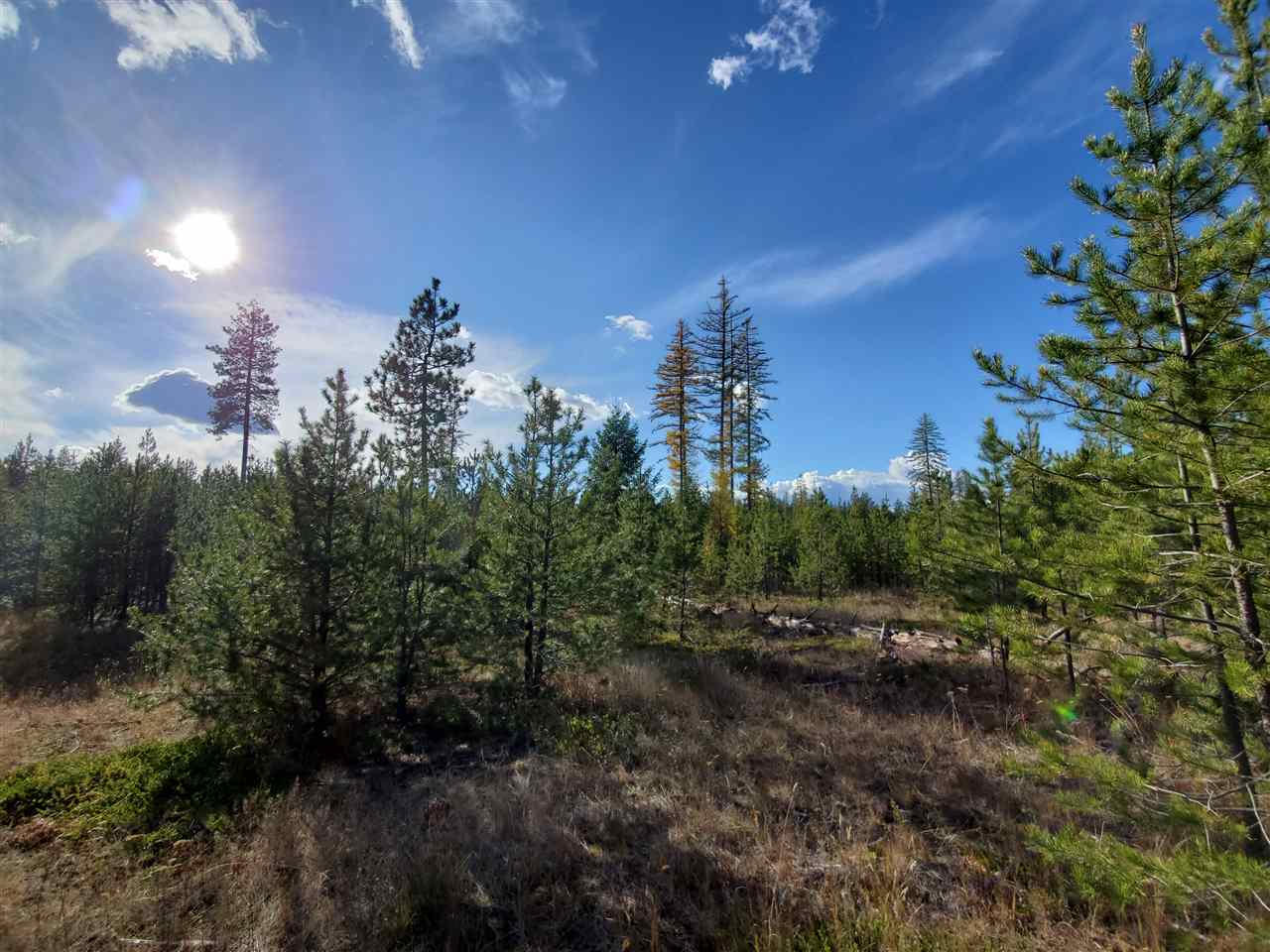 Nkn Telephone Road East Newport, WA 99156 - Photo 25 of 28