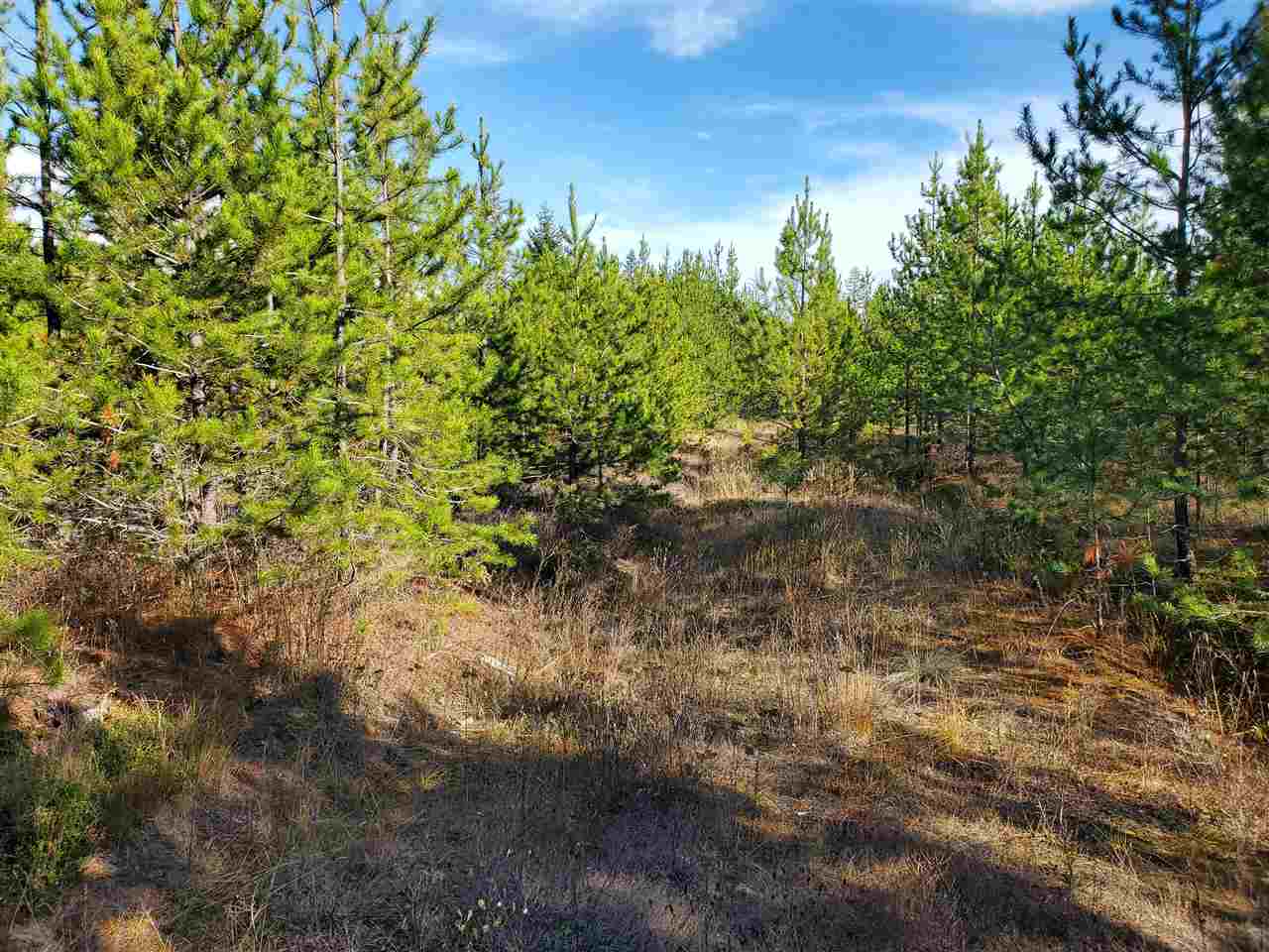 Nkn Telephone Road East Newport, WA 99156 - Photo 4 of 28