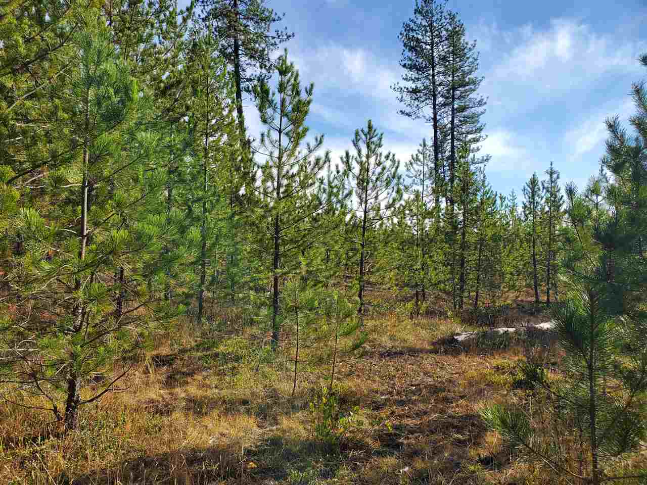 Nkn Telephone Road East Newport, WA 99156 - Photo 6 of 28