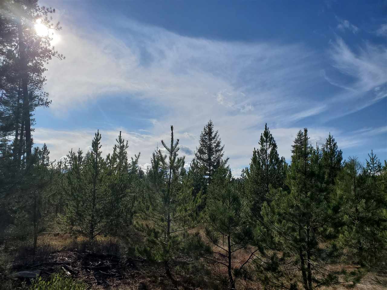 Nkn Telephone Road East Newport, WA 99156 - Photo 9 of 28