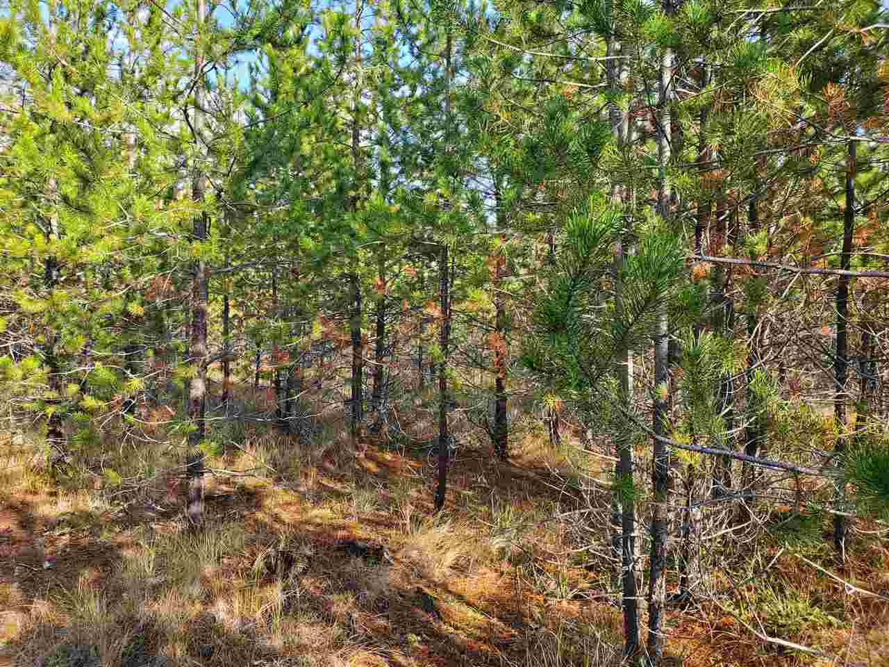Nkn Telephone Road East Newport, WA 99156 - Photo 10 of 28