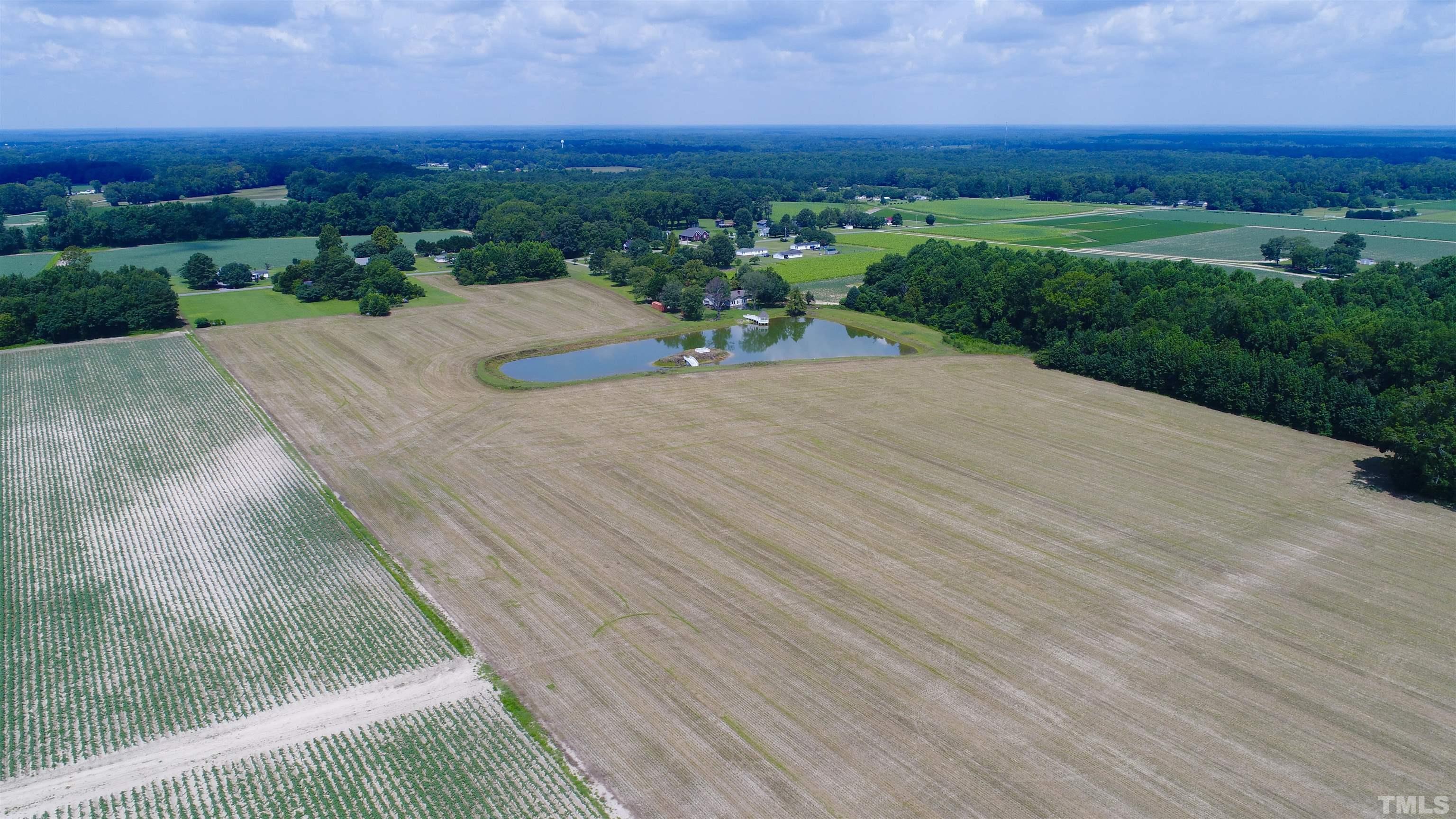 0 Bridgers Road Kenly, NC 27542 - Photo 2 of 8 a view of a outdoor space