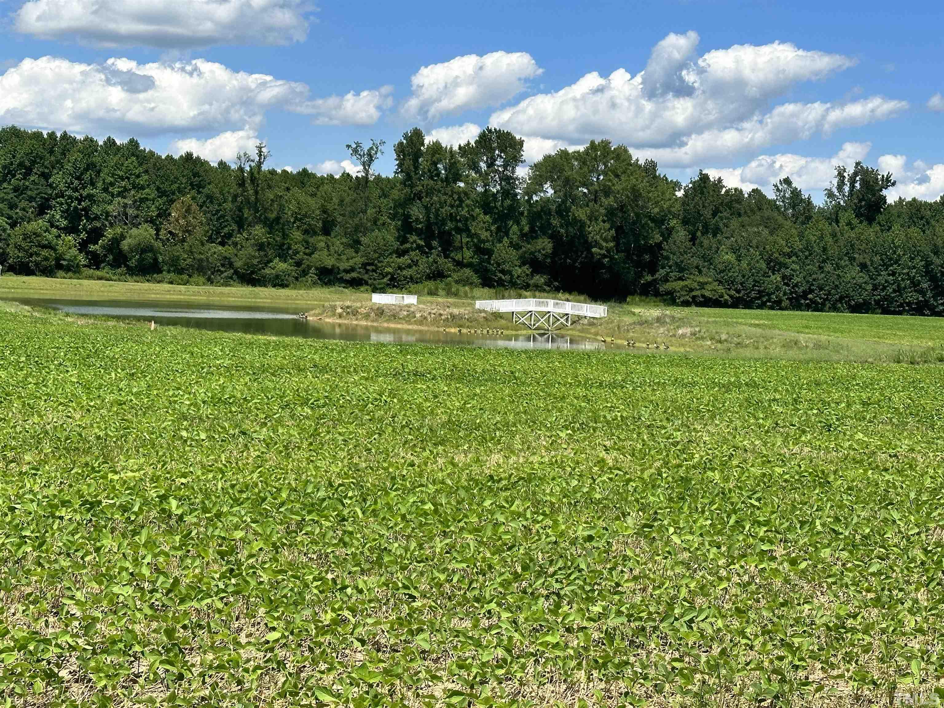 0 Bridgers Road Kenly, NC 27542 - Photo 4 of 8 a view of a grassy field