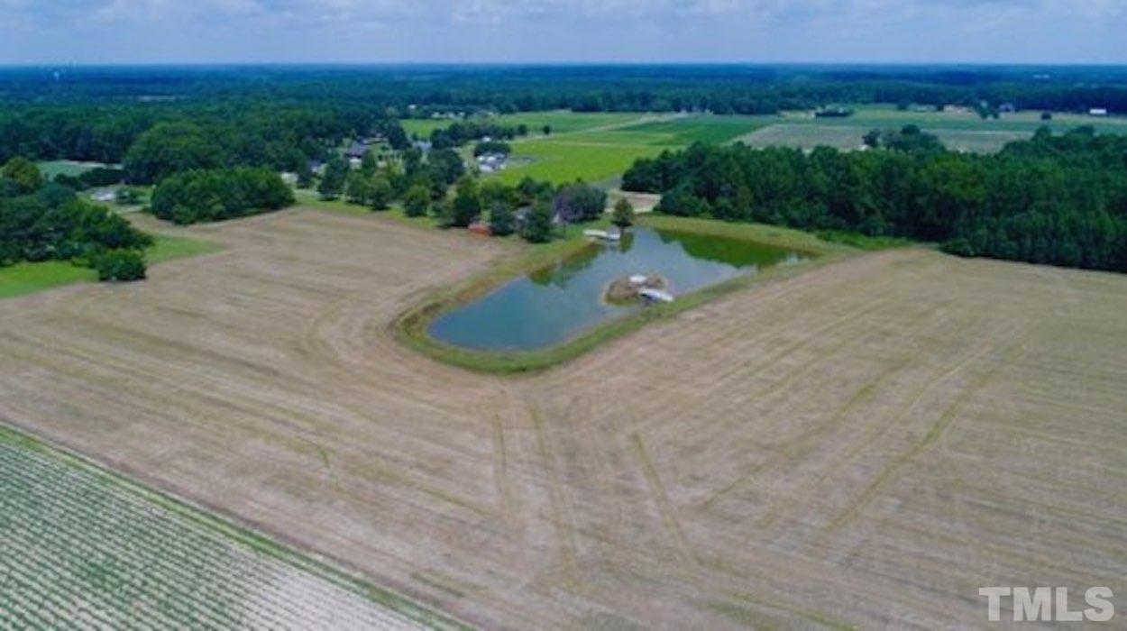 0 Bridgers Road Kenly, NC 27542 - Photo 6 of 8 a view of a backyard