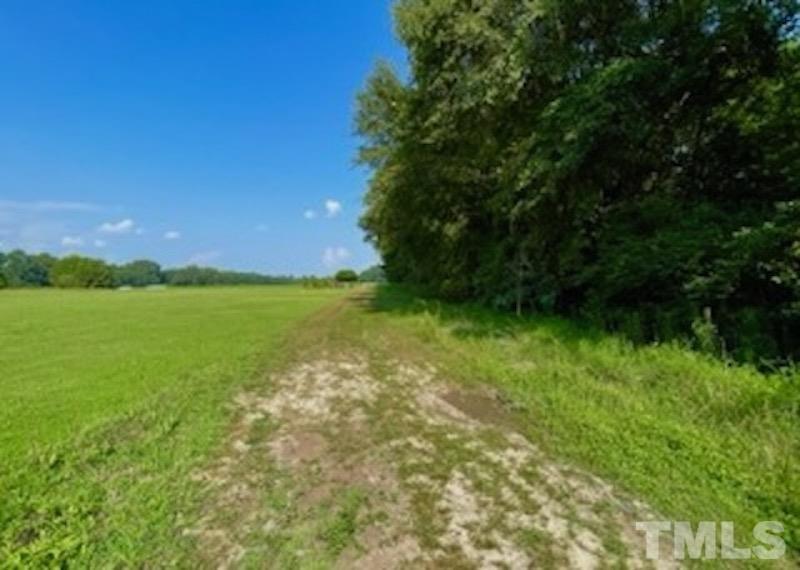 0 Bridgers Road Kenly, NC 27542 - Photo 8 of 8 a view of yard with green space