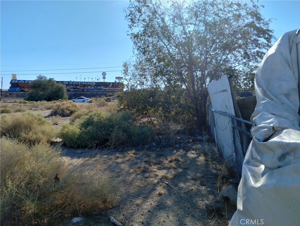 1613 Riverside Drive Barstow, CA 92311 - Photo 8 of 14 a view of a dry yard with lots of green space