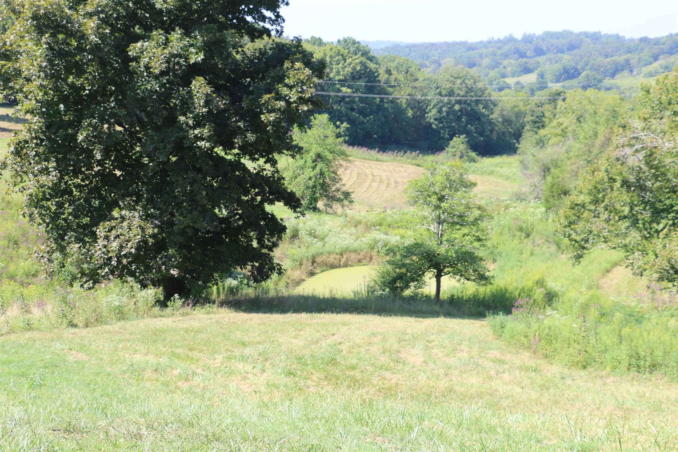 245 Hardy Road Pulaski, TN 38478 - Photo 8 of 11 a view of a yard