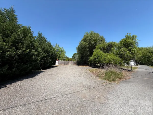 a view of a road with plants and trees