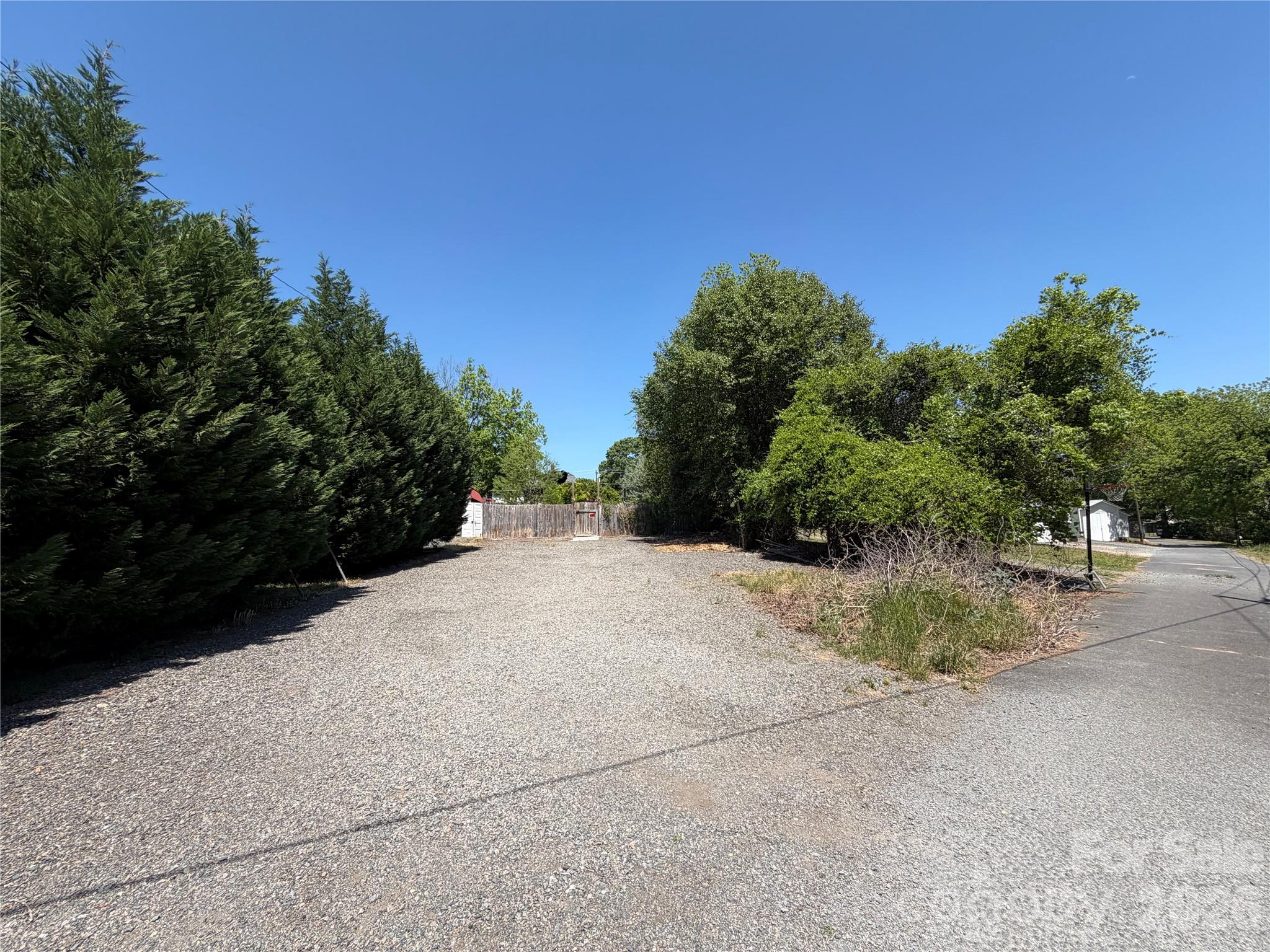 85 Falls Road Badin, NC 28009 - Photo 12 of 13 a view of a road with plants and trees