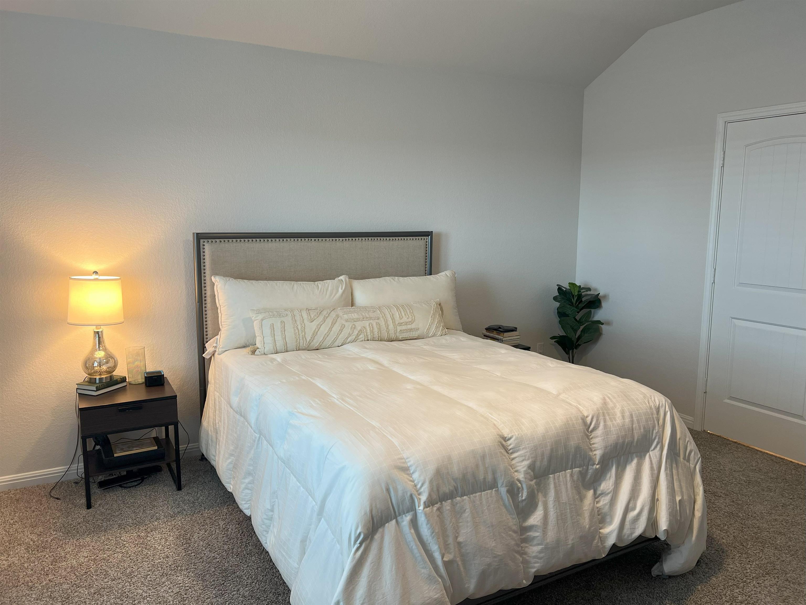 248 Lone Cedar Road Marble Falls, TX 78654 - Photo 19 of 30 a bedroom with a bed and a lamp