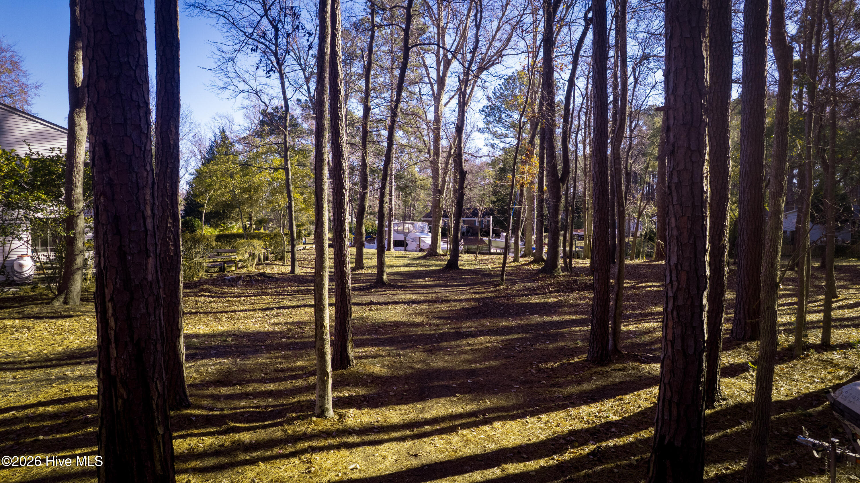 50 Gilgo Road Oriental, NC 28571 - Photo 4 of 34 Lot 50 Gilgo Road, Oriental, NC 28571