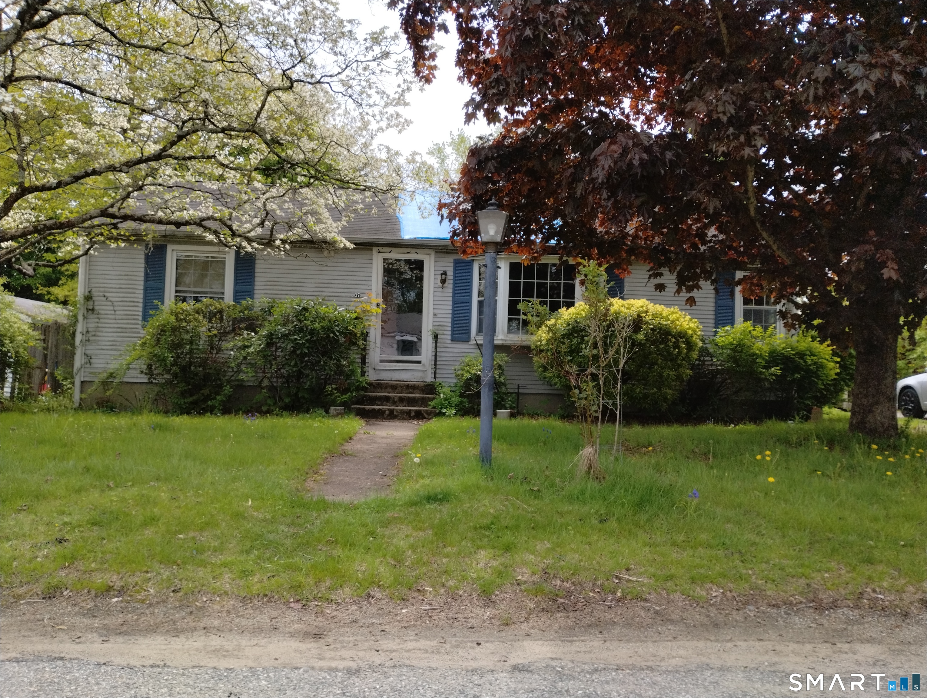 a backyard of a house with plants and large tree