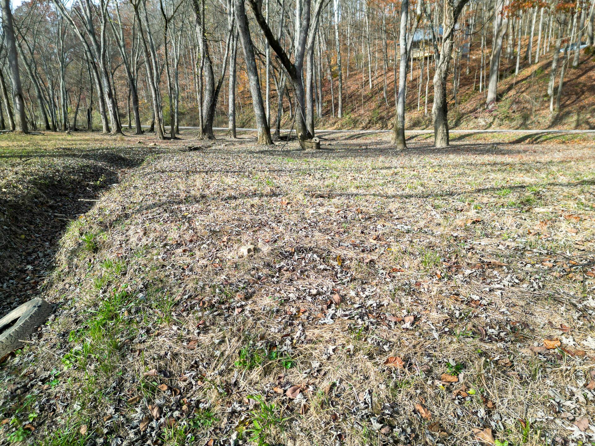 0 Keystone Road, Unit CREEKVIEW CABIN) Vinton, OH 45686 - Photo 86 of 95 CT-86
