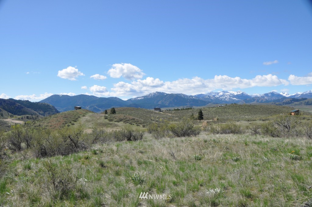 3-lot Davis Lake Ranch Road Winthrop, WA 98862 - Photo 22 of 25 Gallery Image 22